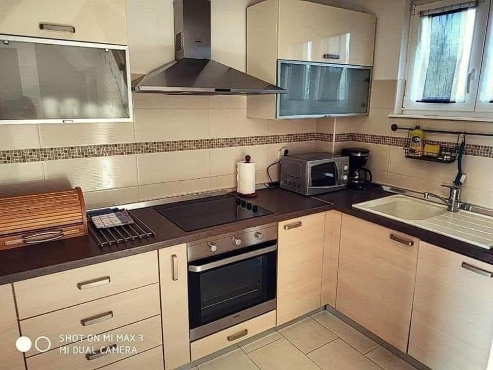 Danica Villa Labin (Istria)